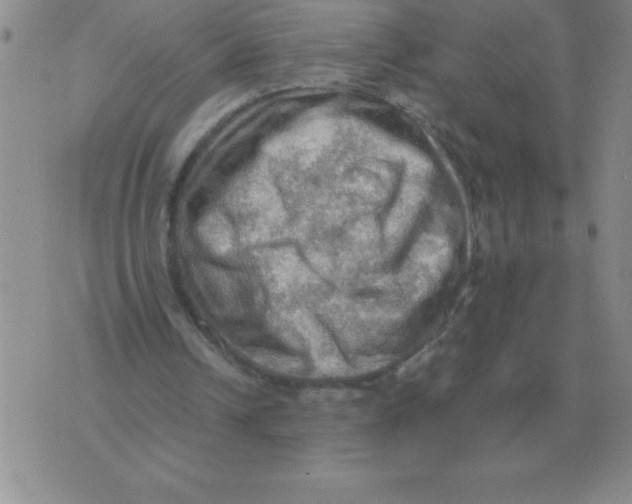 X0000071760242200607282155