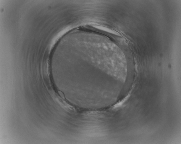 X0000071760244200607282155