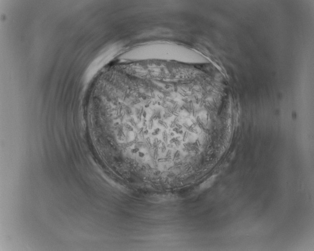 X0000071760245200607282155