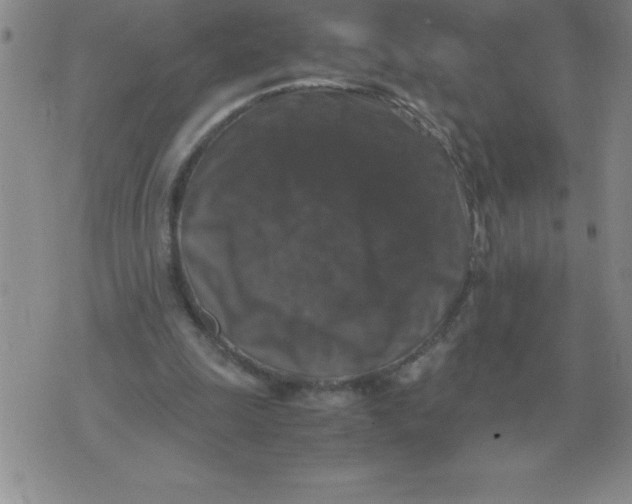 X0000071760247200607282155