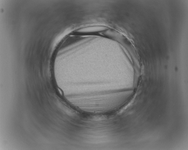 X0000071760248200607282155