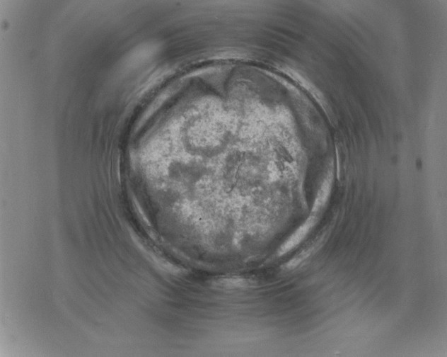 X0000071760253200607282155