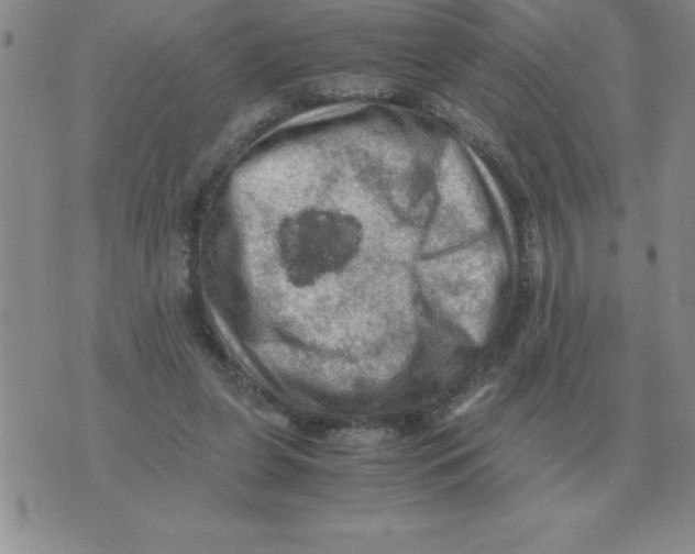 X0000071760255200607282155