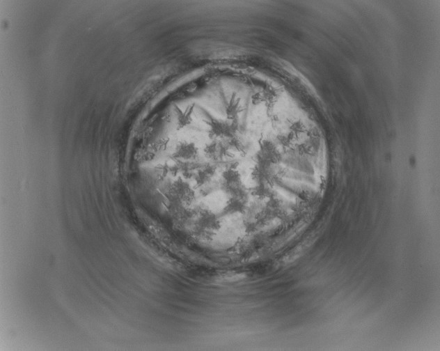 X0000071760257200607282155