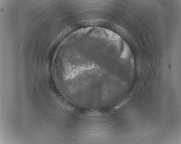 X0000071760258200607282155