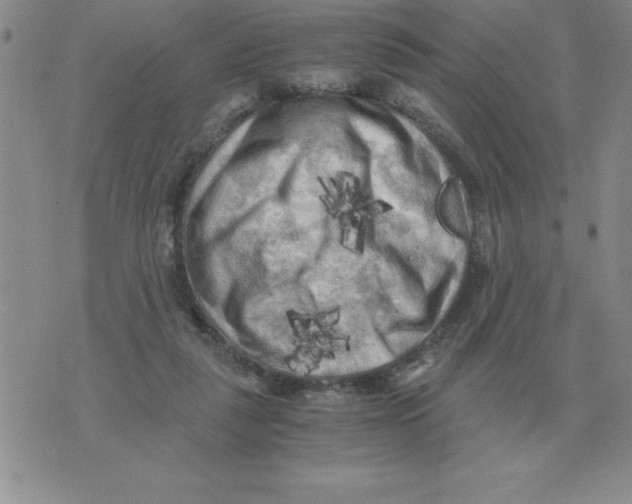 X0000071760259200607282155