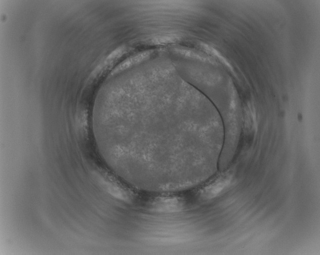 X0000071760260200607282155