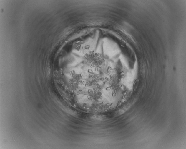 X0000071760261200607282155