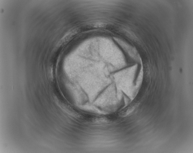 X0000071760262200607282155