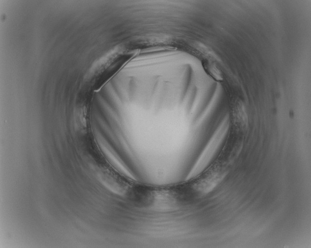 X0000071760264200607282155