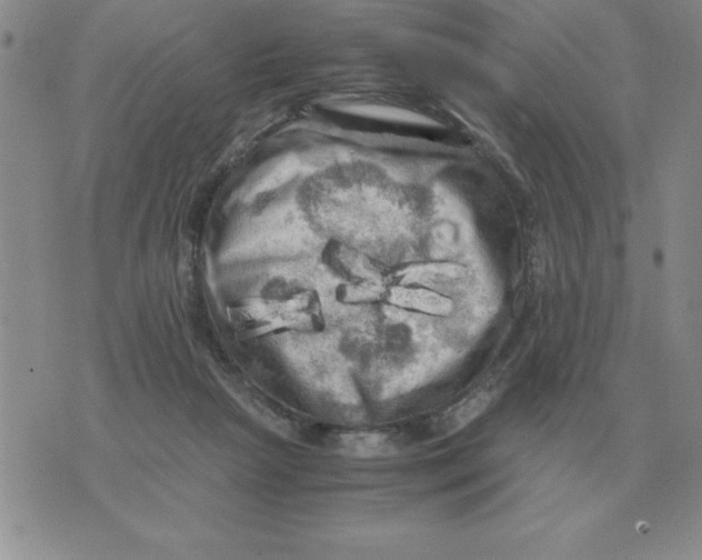 X0000071760265200607282155