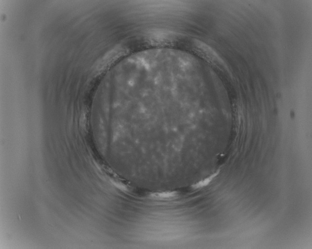 X0000071760266200607282155