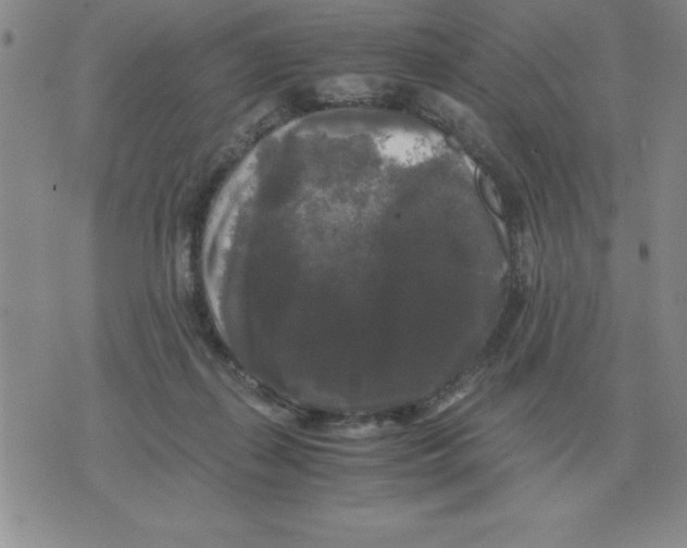 X0000071760267200607282155