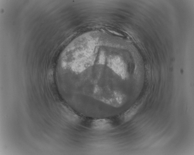 X0000071760269200607282155