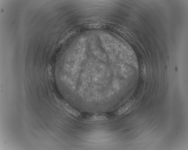 X0000071760270200607282155