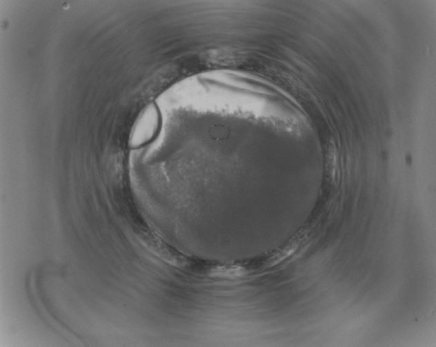 X0000071760271200607282155