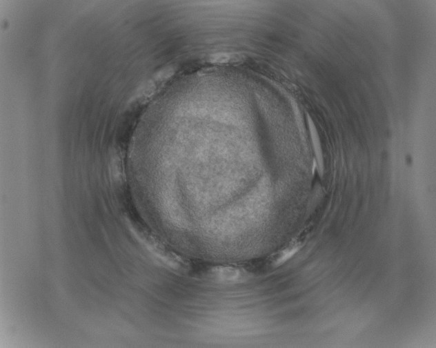 X0000071760272200607282155