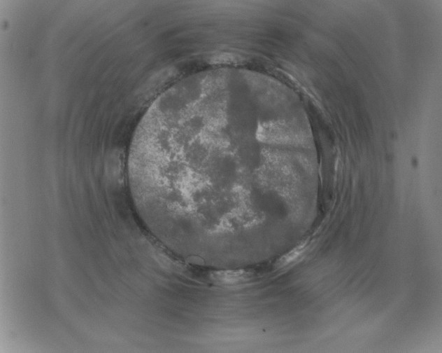 X0000071760273200607282155