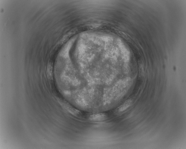 X0000071760274200607282155