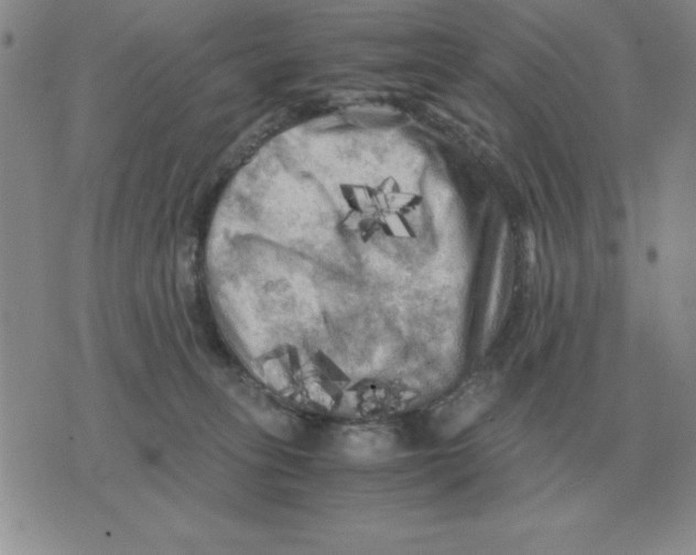 X0000071760275200607282155