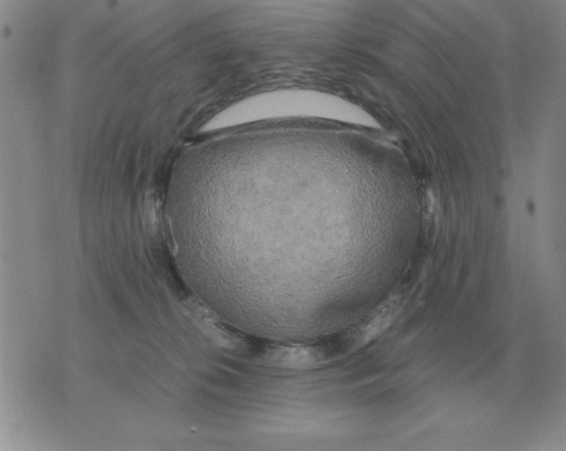 X0000071760276200607282155