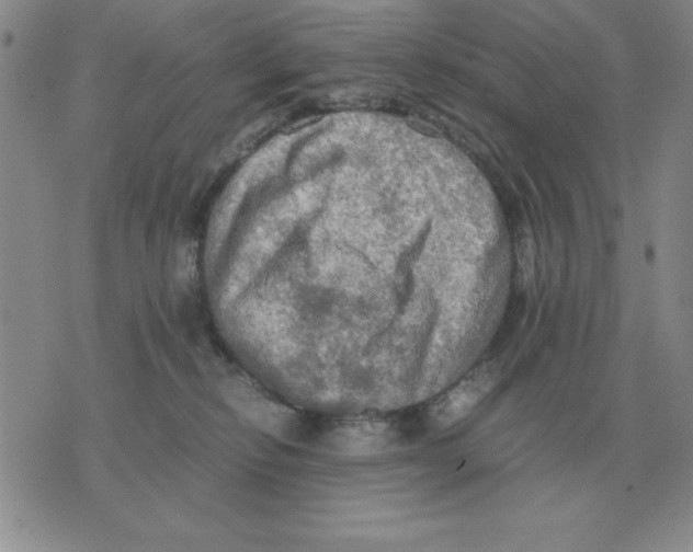 X0000071760278200607282155