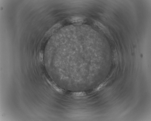 X0000071760281200607282155