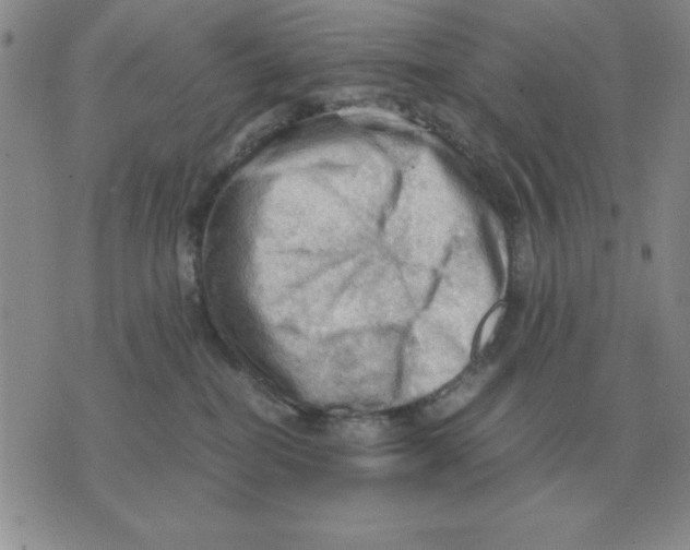 X0000071760282200607282155