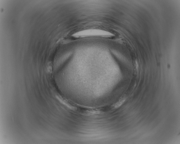 X0000071760284200607282155