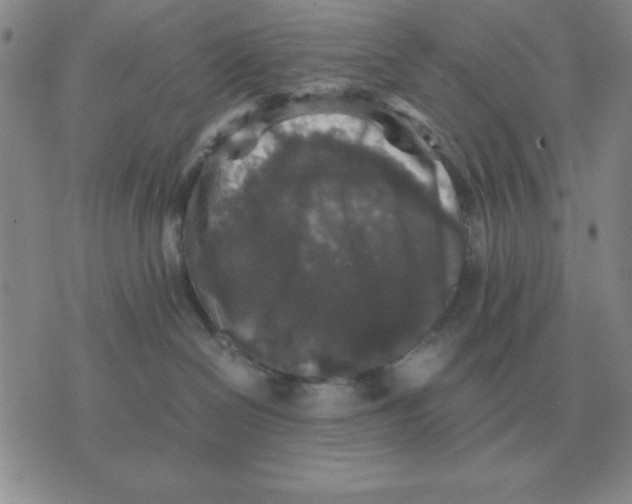 X0000071760286200607282155