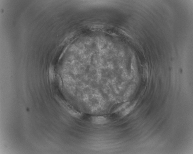 X0000071760287200607282155