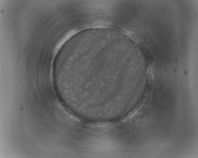 X0000071760292200607282154