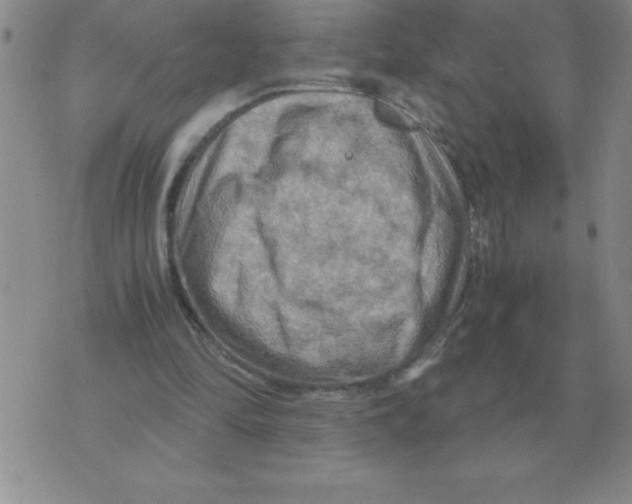 X0000071760294200607282154