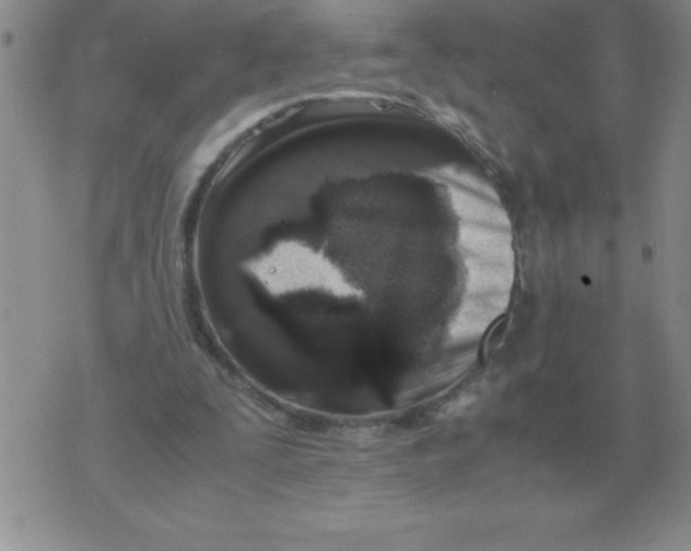 X0000071760295200607282154