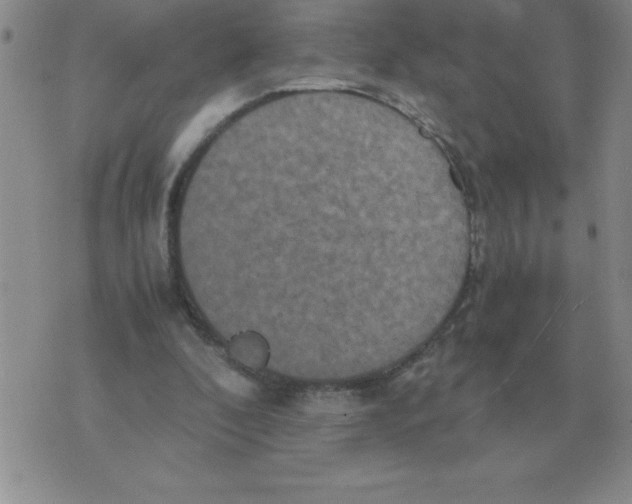 X0000071760296200607282154