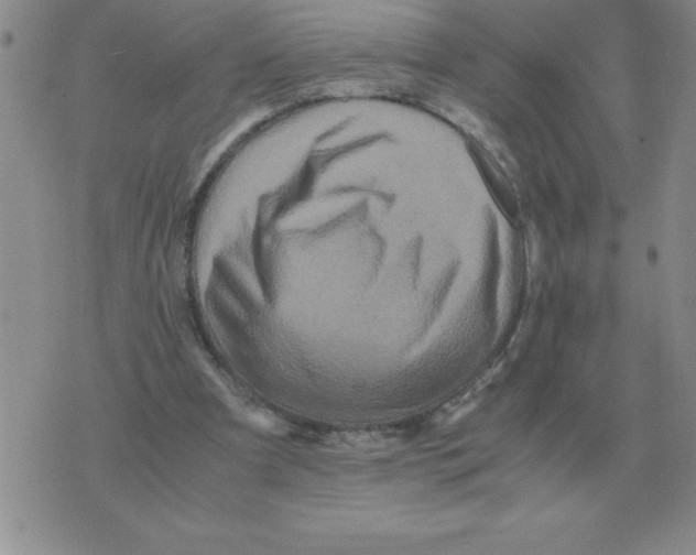 X0000071760297200607282154