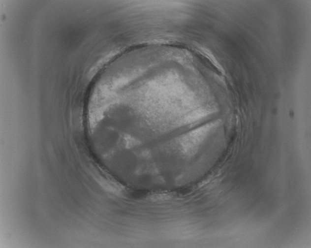 X0000071760299200607282154