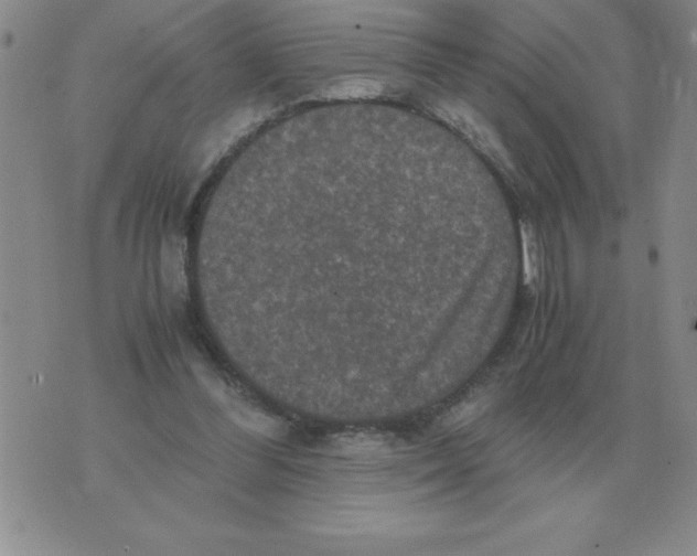 X0000071760300200607282154