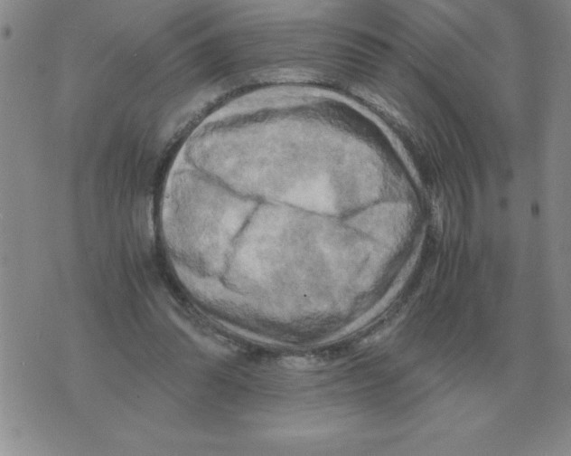 X0000071760302200607282154