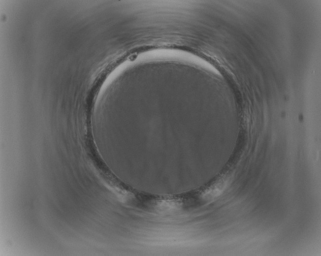 X0000071760303200607282154