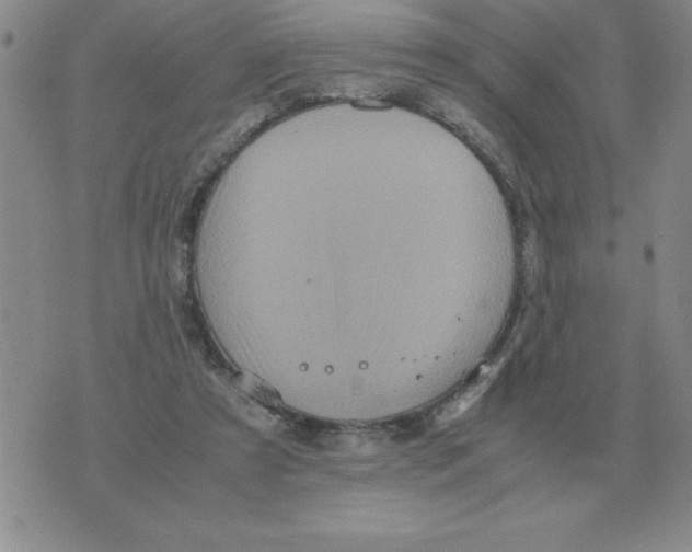 X0000071760305200607282154