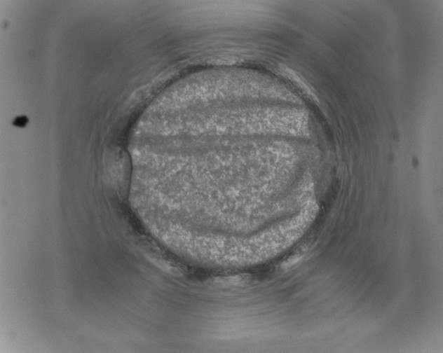 X0000071760307200607282154