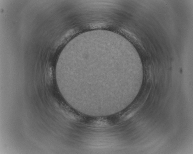 X0000071760308200607282154