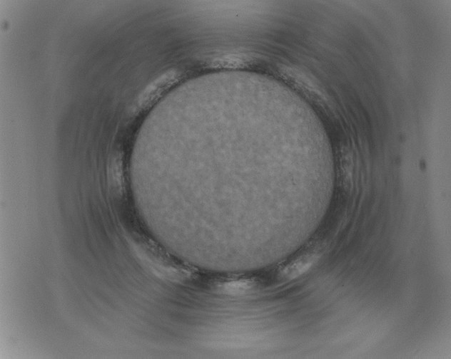 X0000071760312200607282154