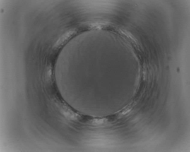 X0000071760314200607282154