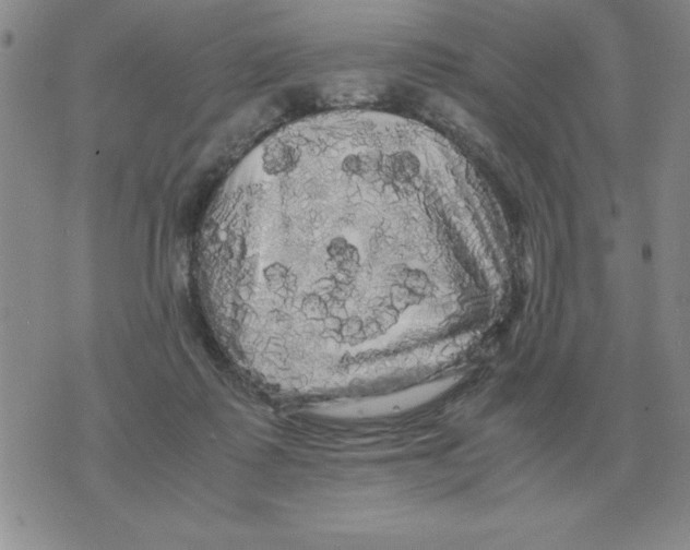 X0000071760315200607282154