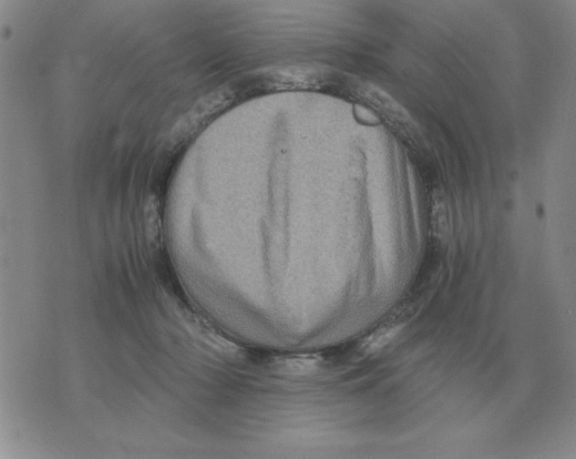 X0000071760318200607282154