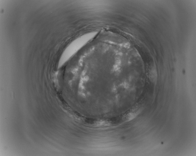 X0000071760319200607282154