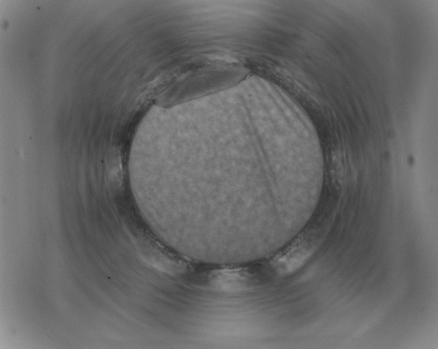 X0000071760320200607282154