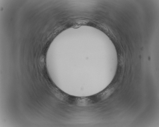 X0000071760321200607282154